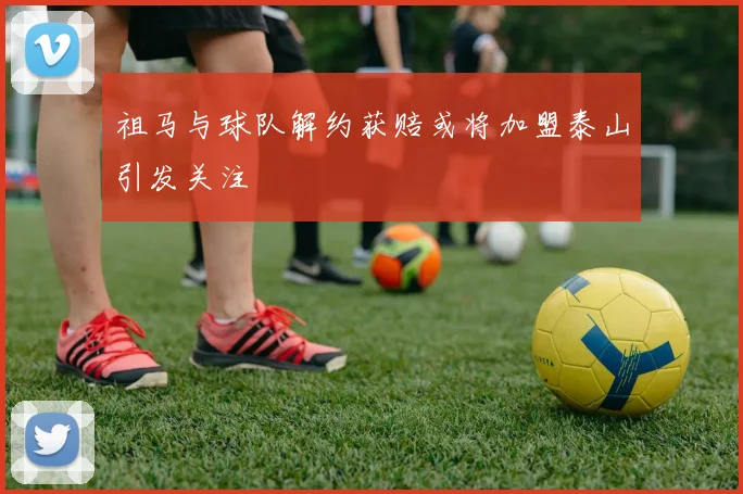 祖马与球队解约获赔或将加盟泰山引发关注
