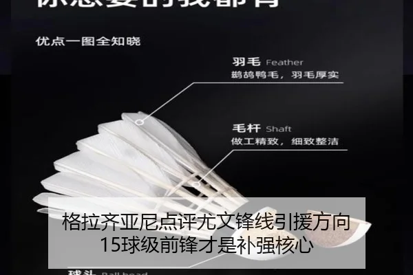 格拉齐亚尼点评尤文锋线引援方向 15球级前锋才是补强核心